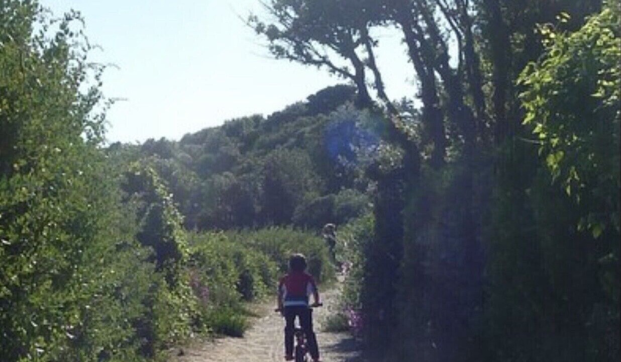 Photo of Others in Saint-Marc-sur-Mer