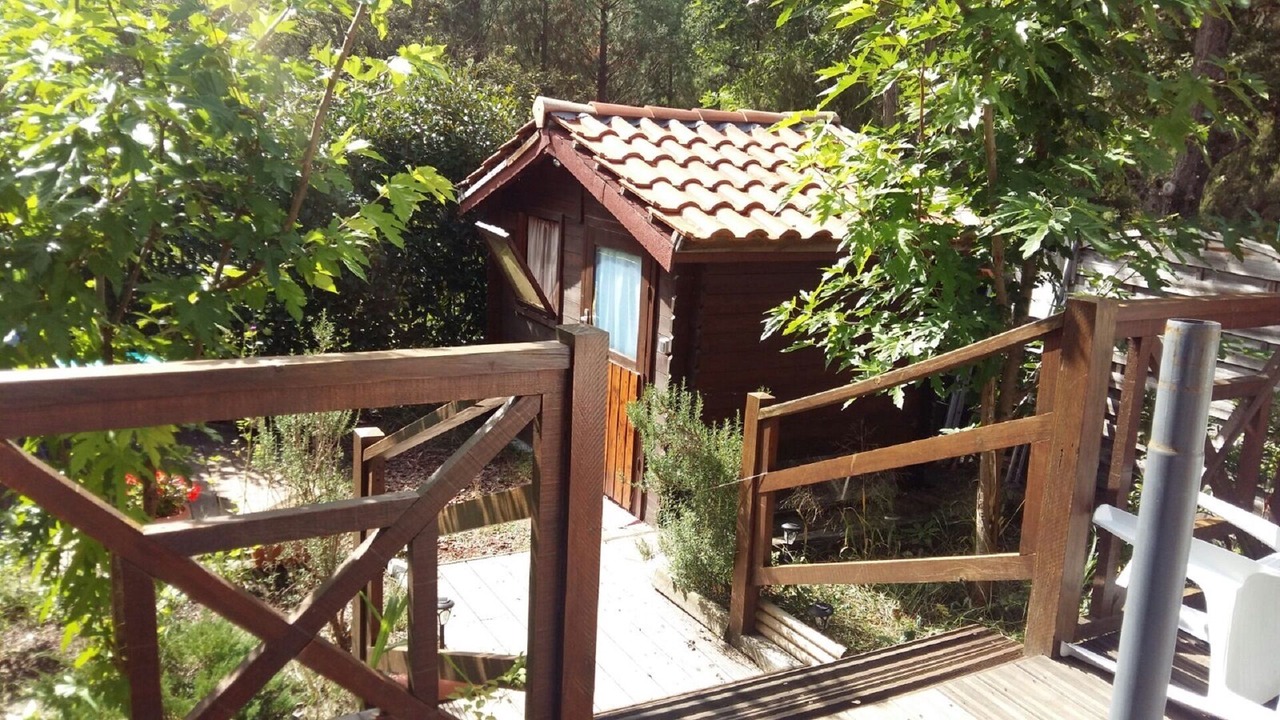 Photo of Outdoor in Bias
