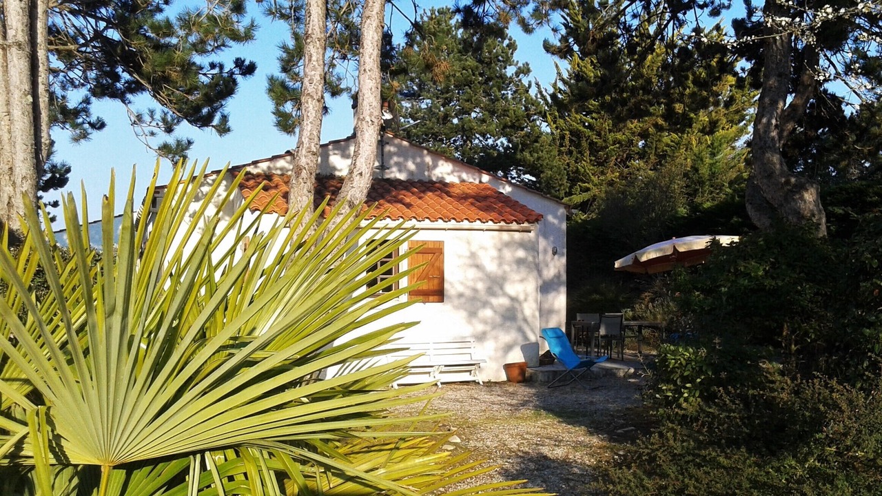 Photo of Outdoor in Saint-Vincent-sur-Jard