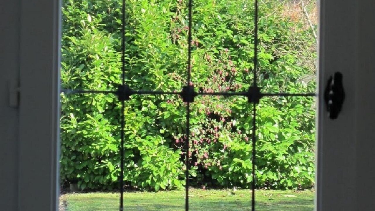 Photo of Others in Roizy