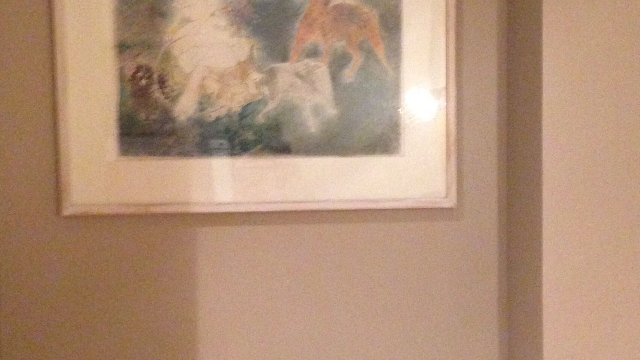 Photo of Others in Montech