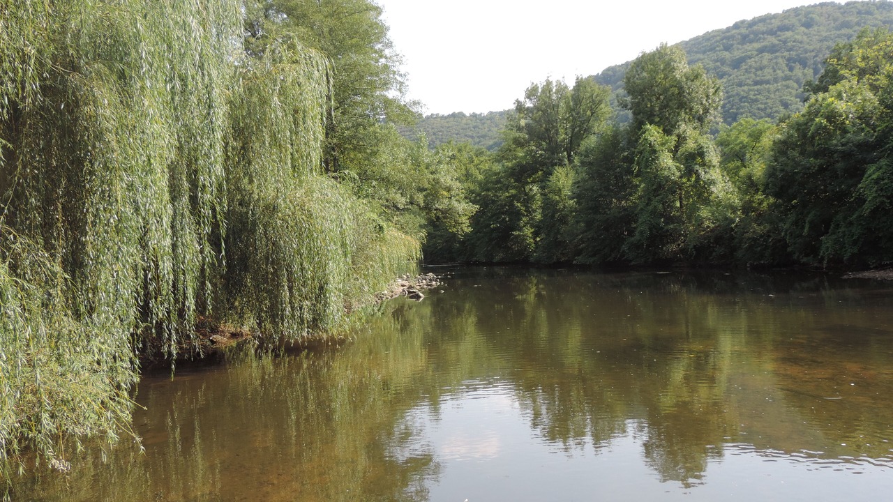 Photo of Outdoor in Mirandol-Bourgnounac