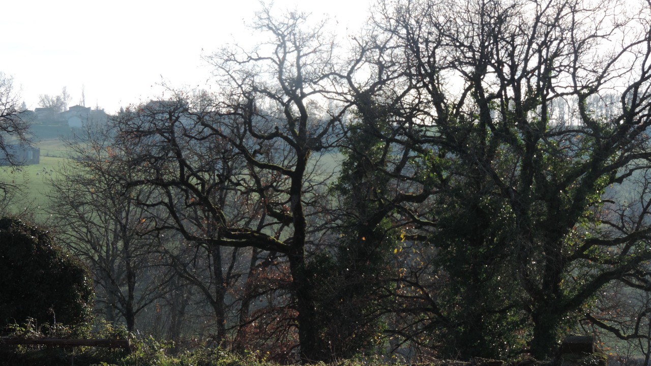 Photo of Outdoor in Mirandol-Bourgnounac