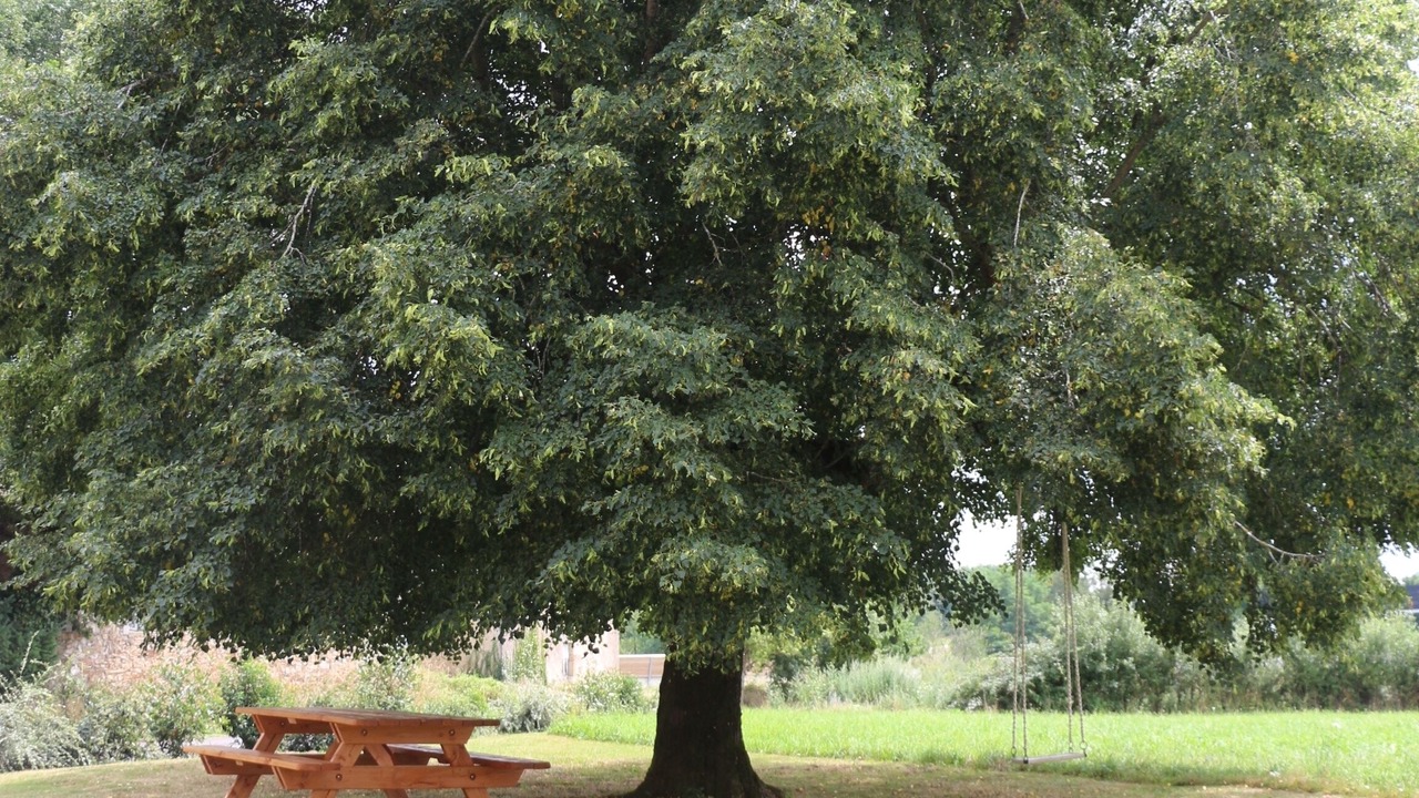 Photo of Outdoor in Naucelle
