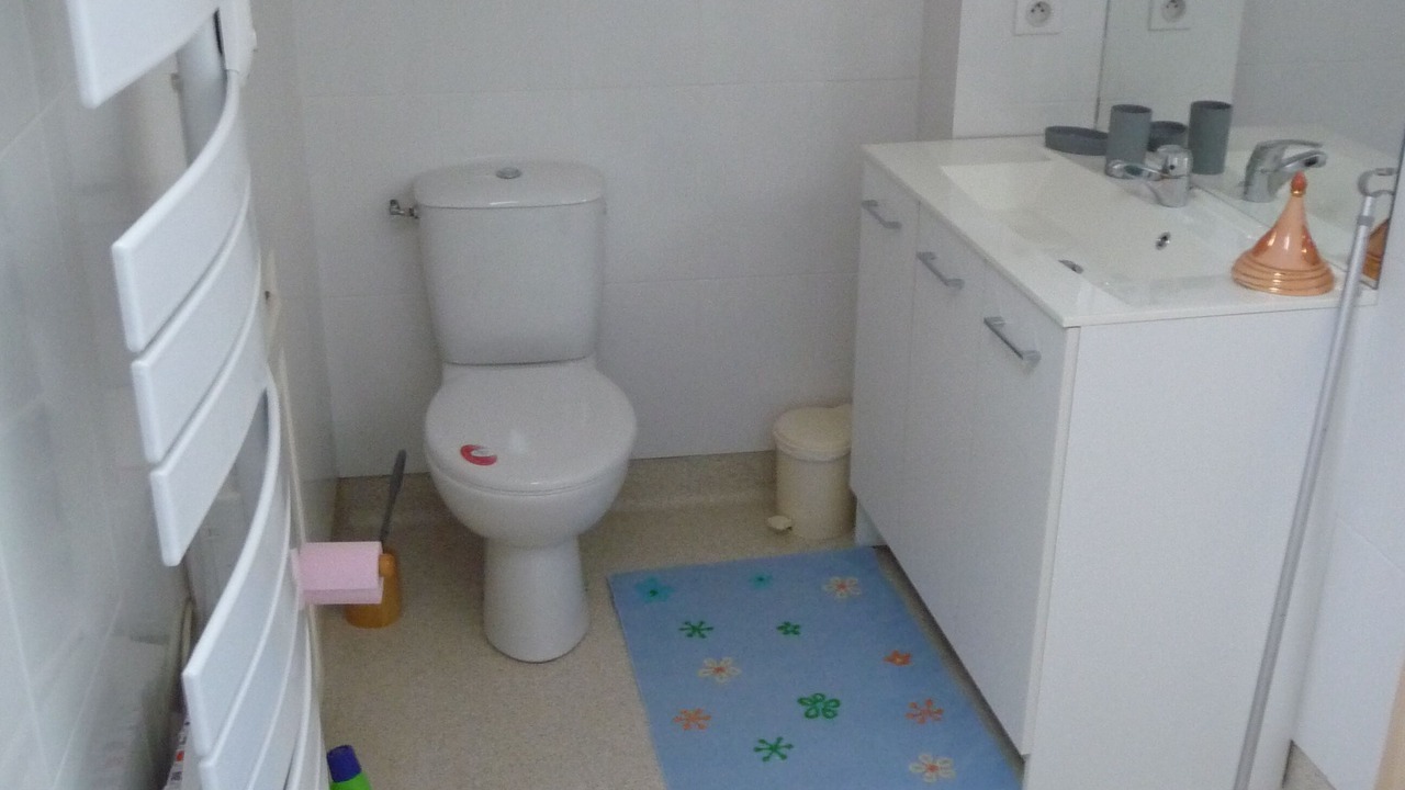 Photo of Bathroom in Foix