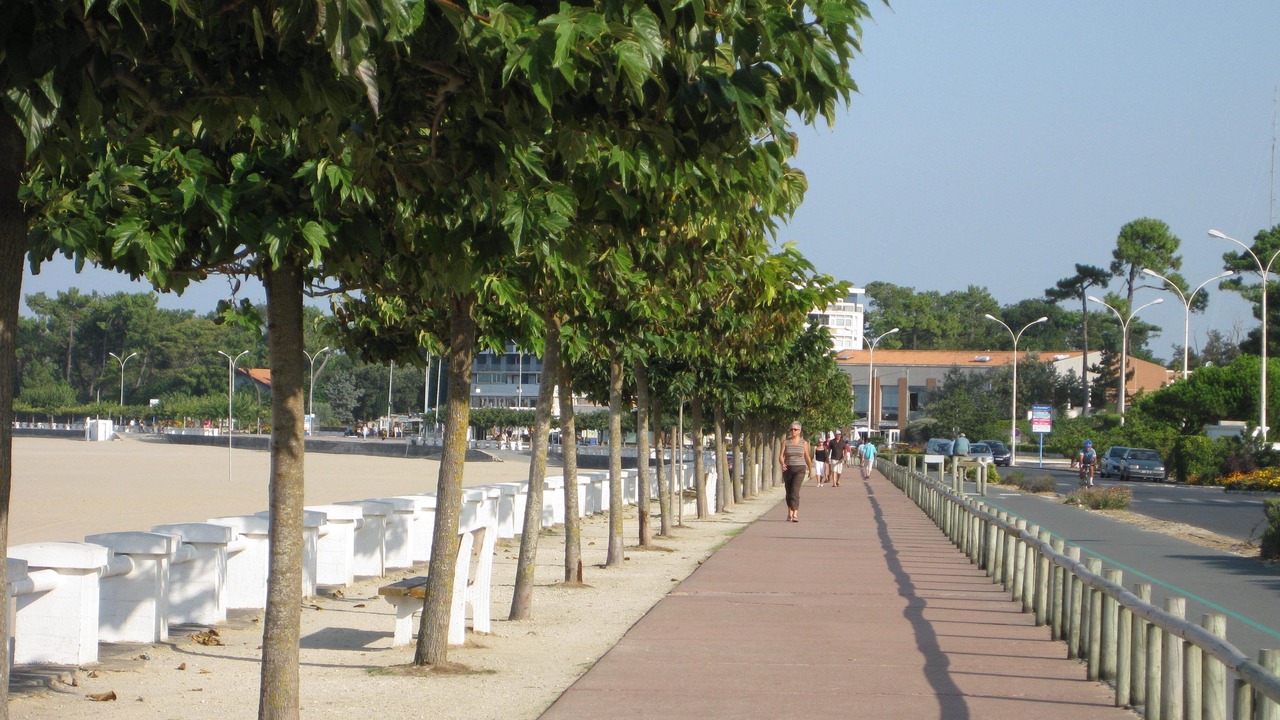 Photo of Others in Saint-Georges-de-Didonne