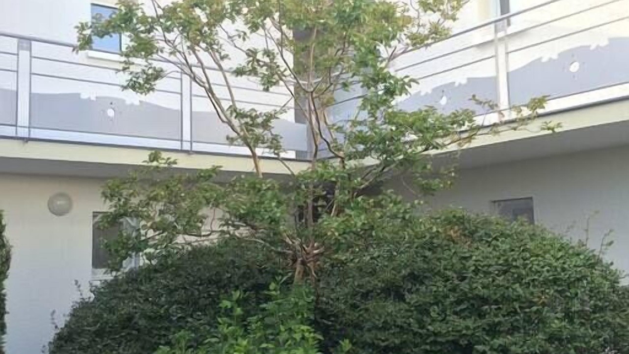 Photo of Outdoor in Gujan-Mestras