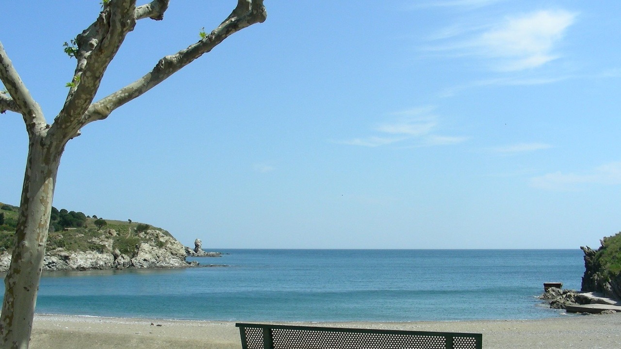 Photo of Others in Les Platanes