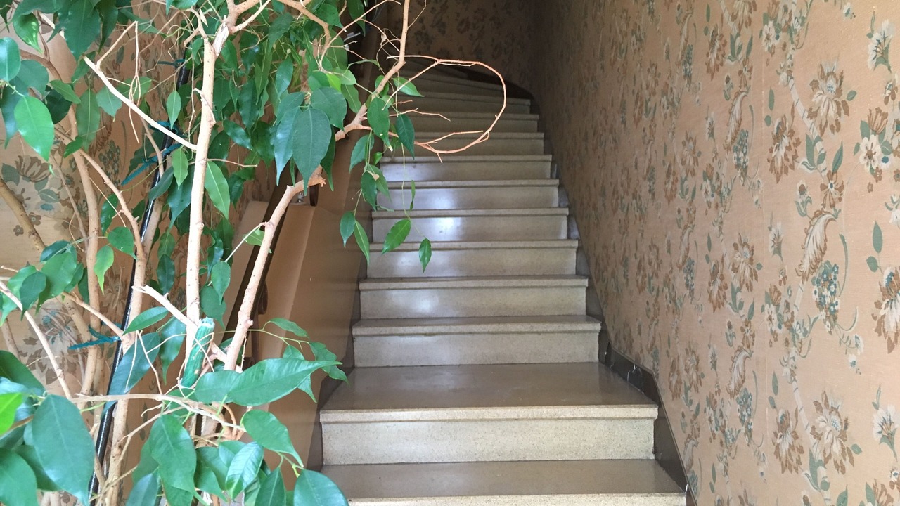 Photo of Others in Les Platanes