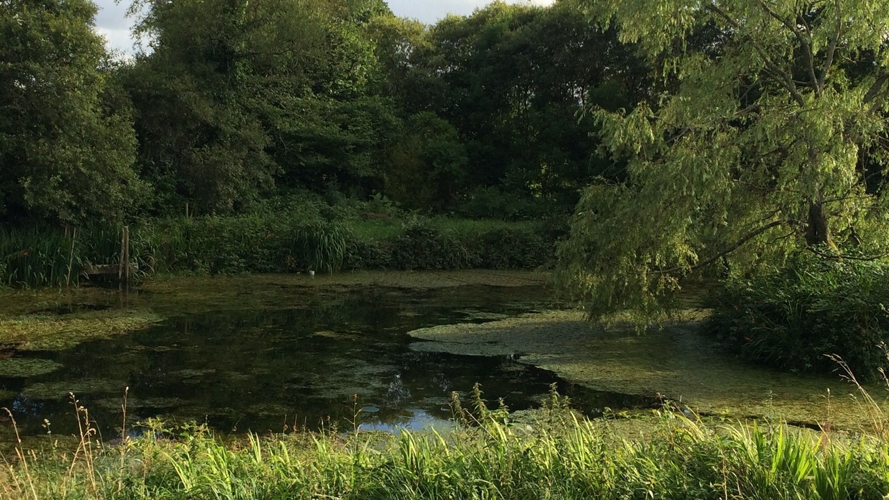 Photo of Outdoor in Laz