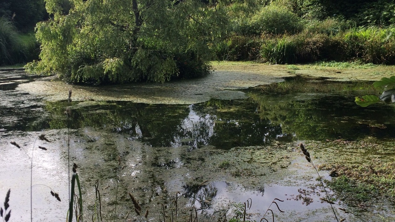 Photo of Outdoor in Laz