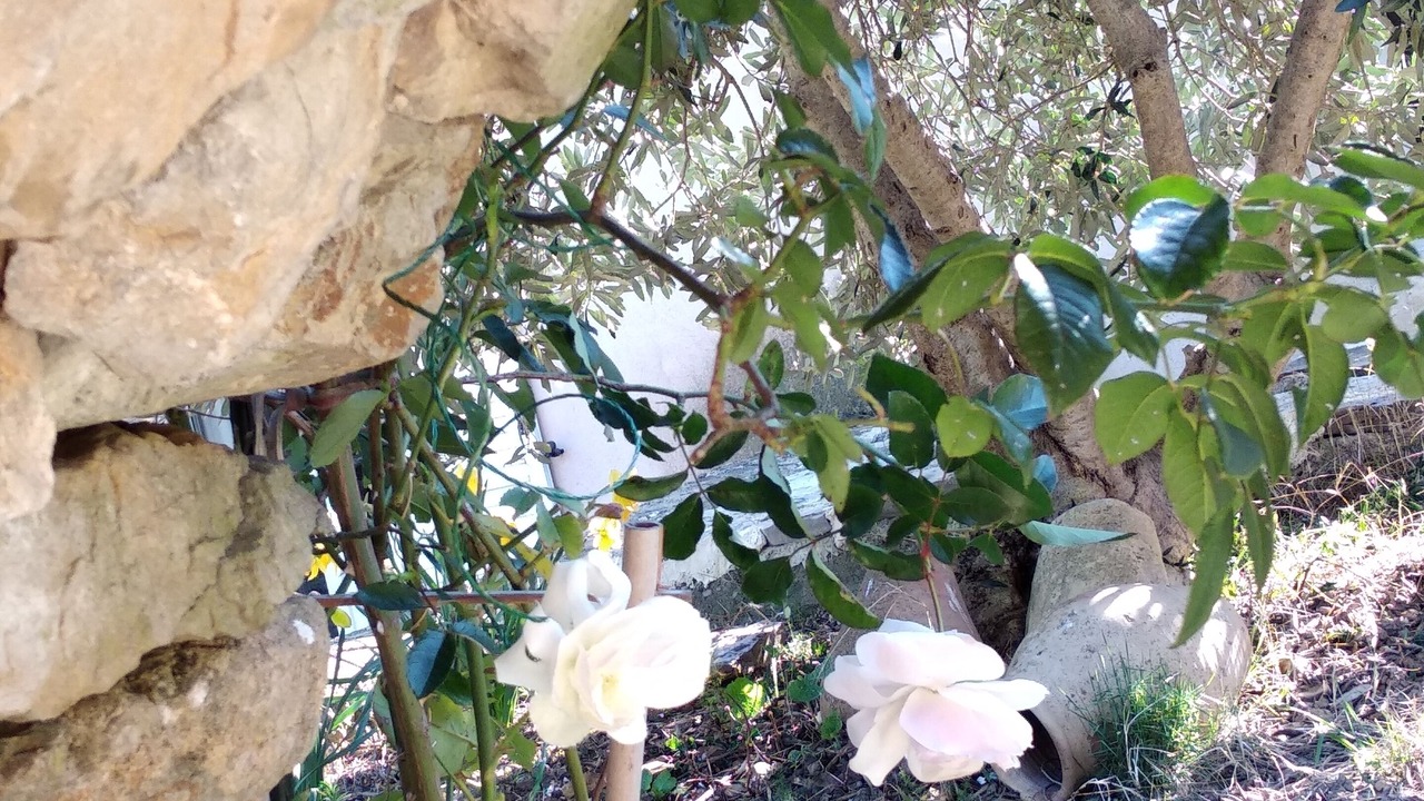 Photo of Outdoor in Murviel-les-Montpellier