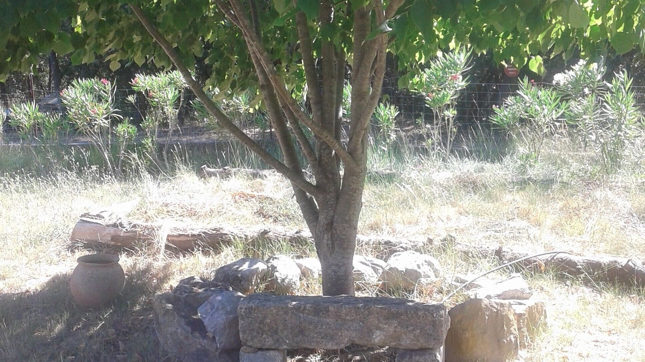Photo of Outdoor in Murviel-les-Montpellier