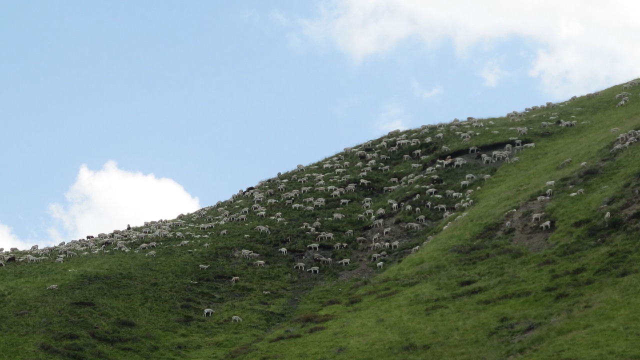 Photo of Others in Bagneres-de-Luchon