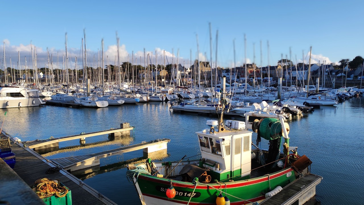 Photo of Others in Piriac-sur-Mer