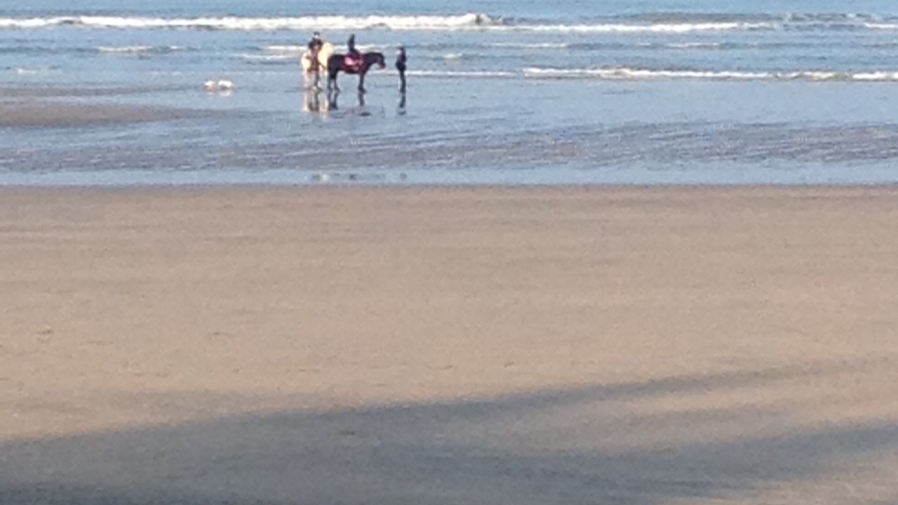 Photo of Others in Quiberville