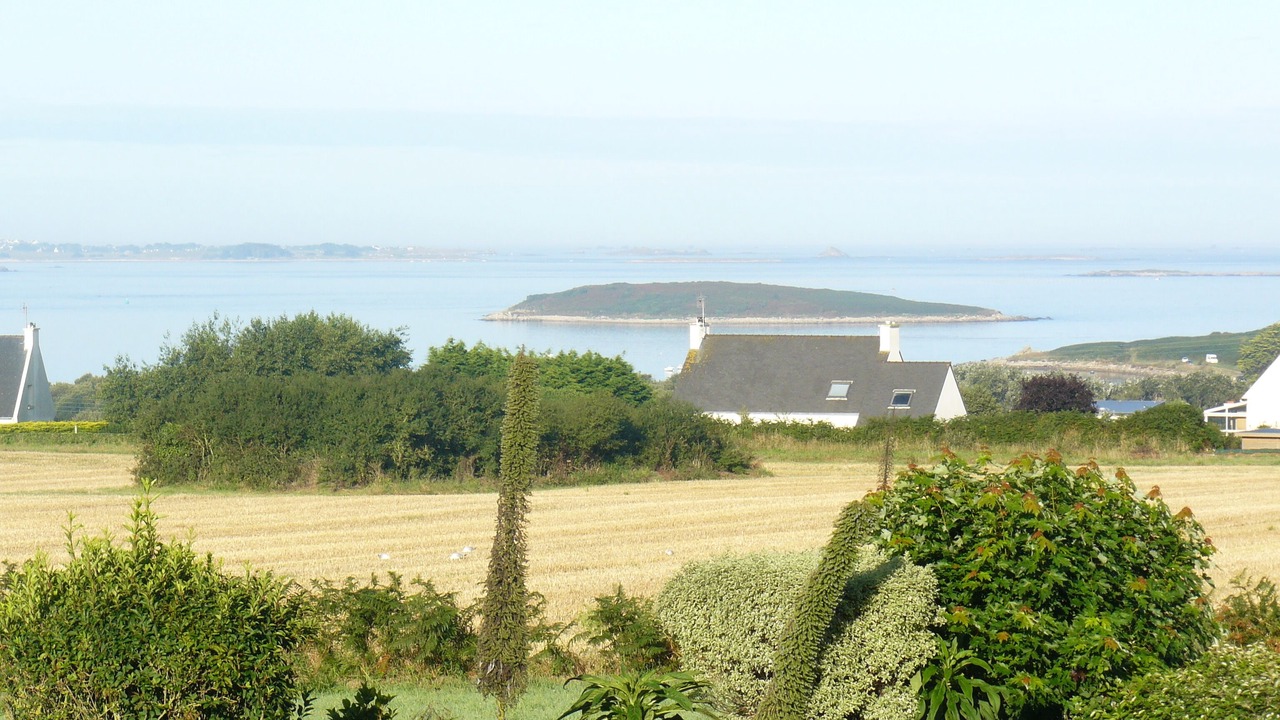 Photo of Others in Landeda