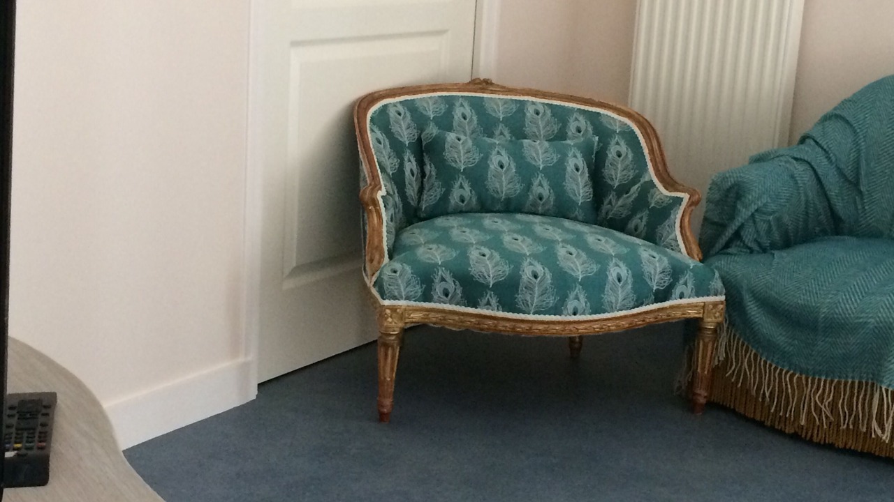 Photo of Livingroom in Vernoil-le-Fourrier