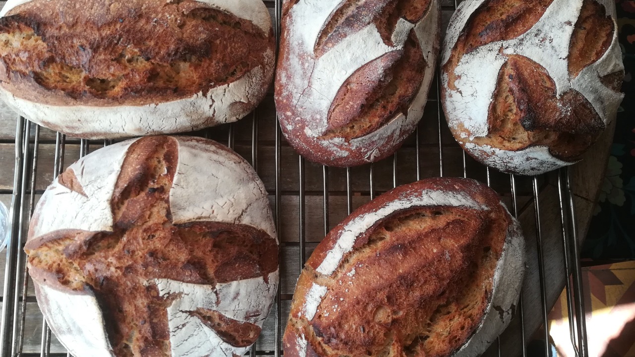 Photo of Others in Barret-de-Lioure