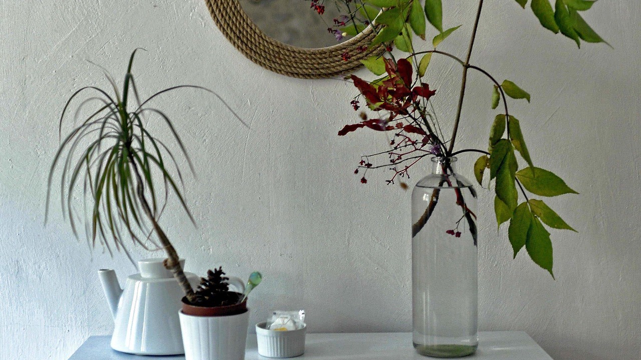 Photo of Others in Barret-de-Lioure