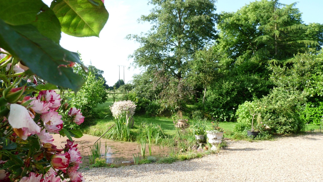 Photo of Outdoor in Dissay-sous-Courcillon