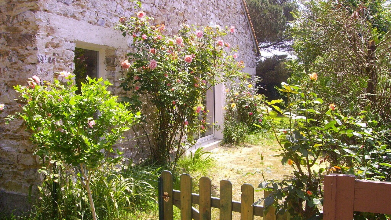 Photo of Outdoor in Frossay