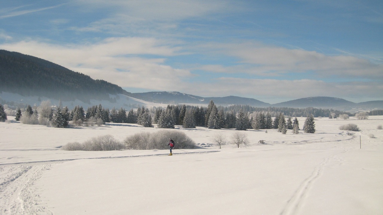 Photo of Others in Bois-d'Amont