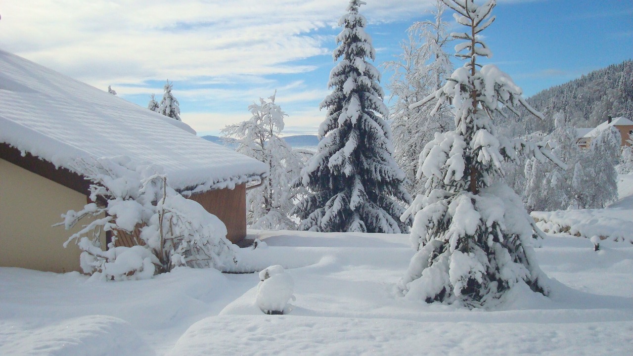 Photo of Outdoor in Bois-d'Amont