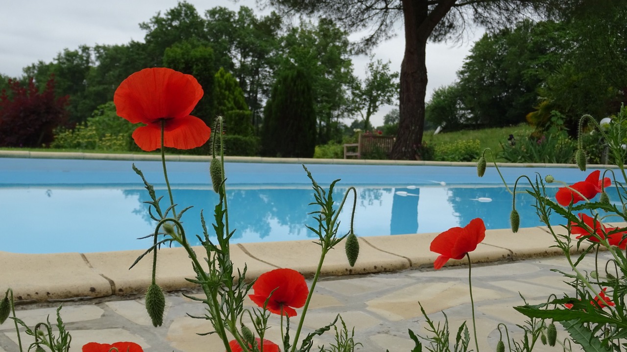 Photo of Outdoor in Blousson-Serian