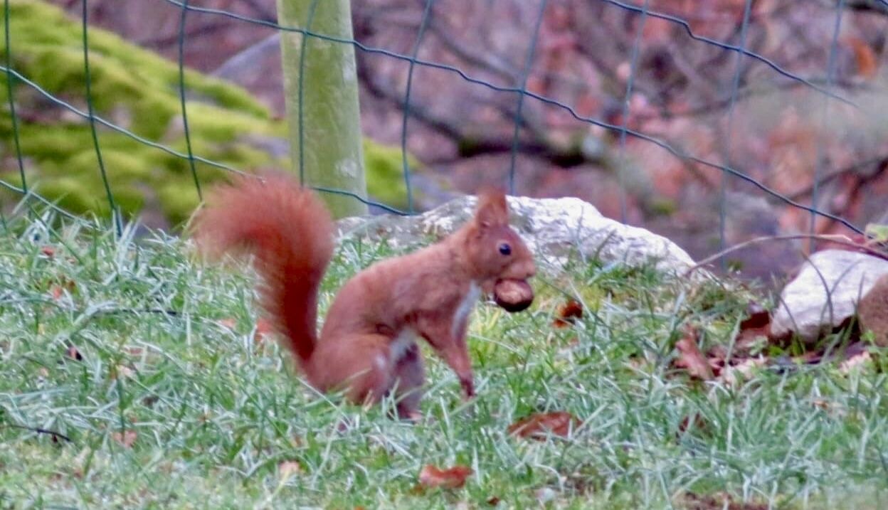 Photo of Outdoor in Ax-les-Thermes