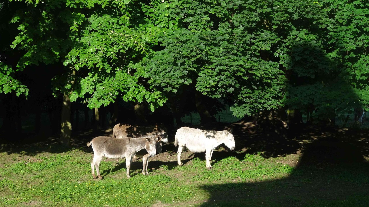 Photo of Outdoor in Gauchin-Verloingt