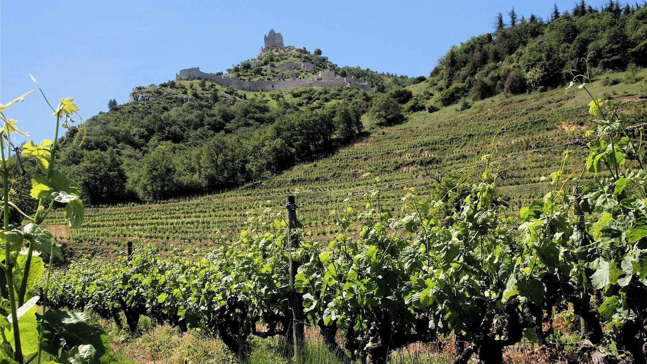 Photo of Outdoor in Soyons