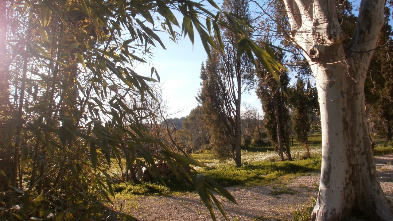 Photo of Outdoor in Nord