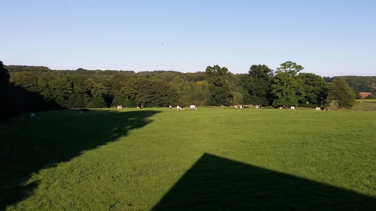 Photo of Outdoor in Offranville