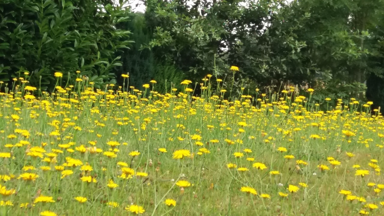 Photo of Outdoor in Offranville