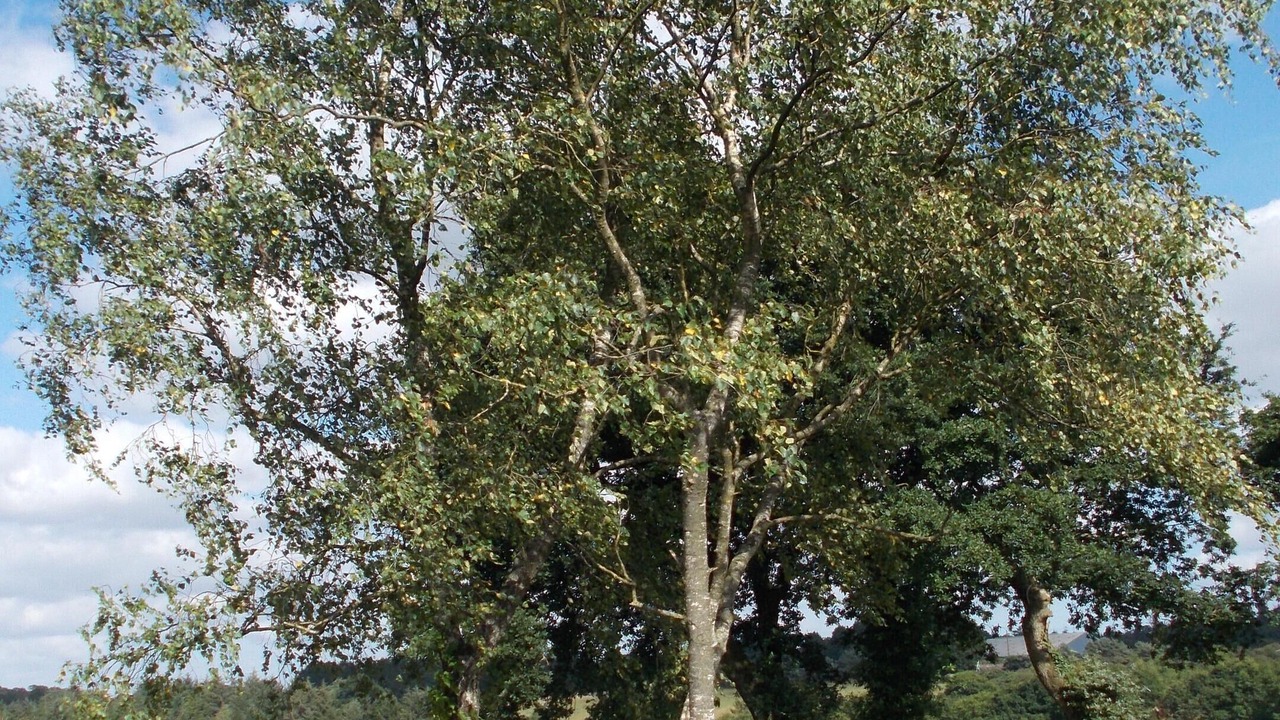 Photo of Outdoor in Kerpert