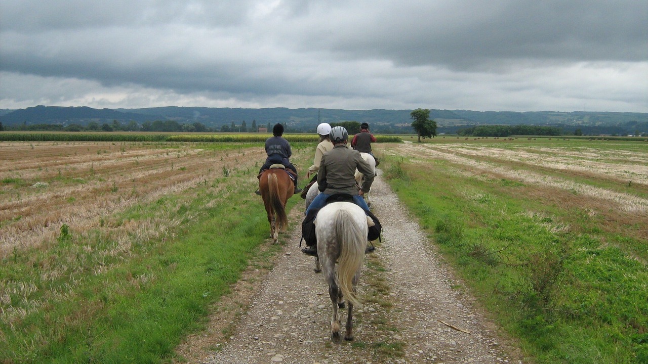 Photo of Others in Meyrie