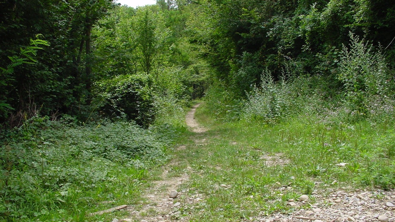 Photo of Outdoor in Meyrie