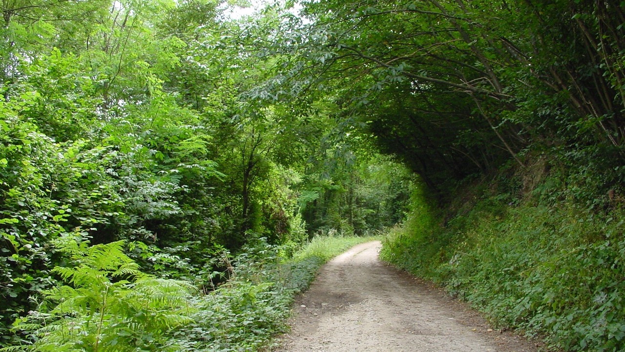 Photo of Outdoor in Meyrie