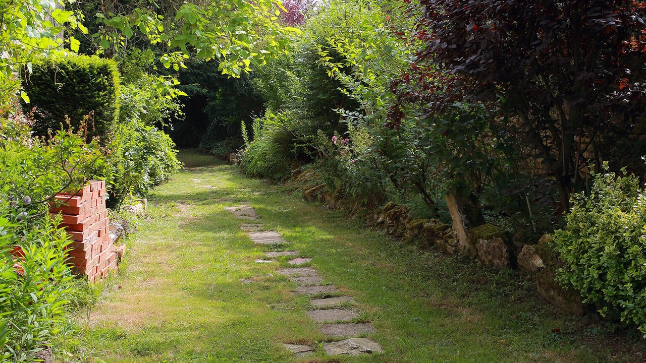 Photo of Outdoor in Latille