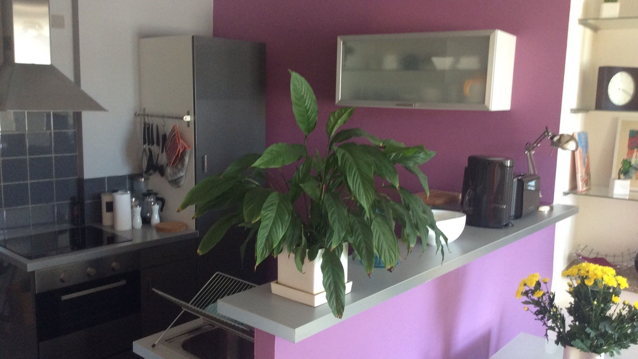 Photo of Kitchen in Port-Vendres