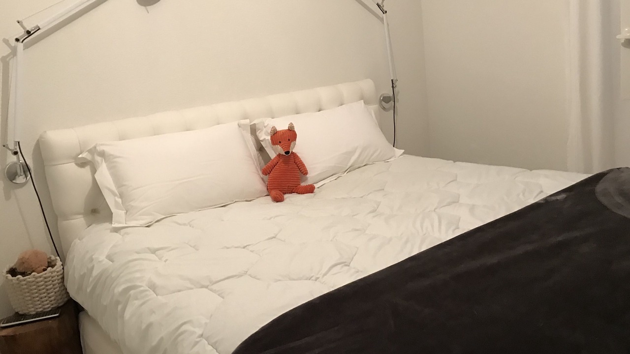 Photo of Bedroom in Eaunes