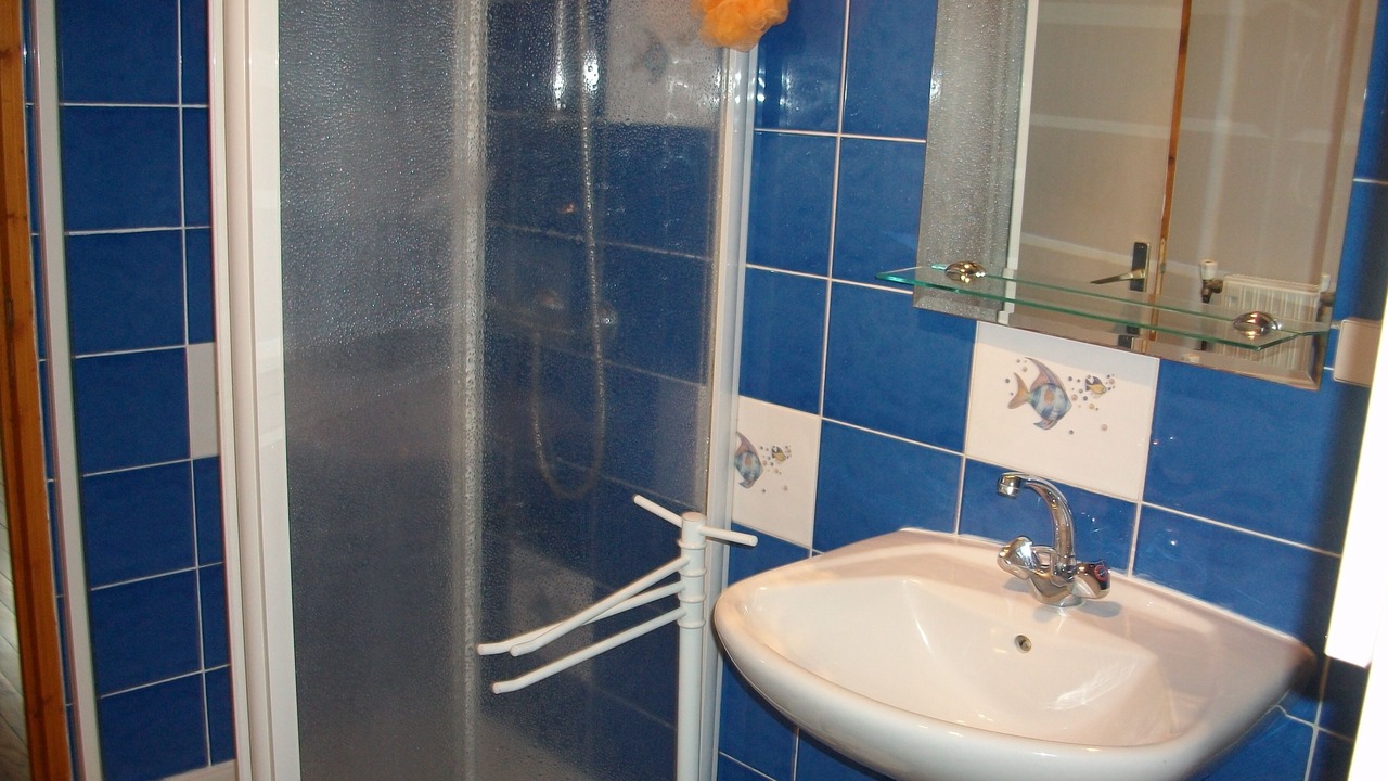 Photo of Bathroom in La Salvetat-Peyrales