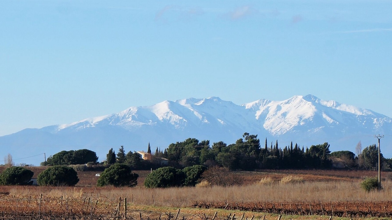 Photo of Outdoor in Perpignan