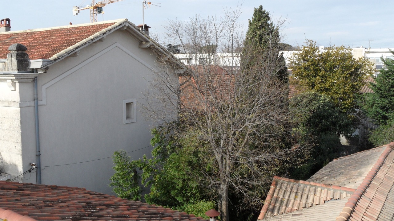 Photo of Outdoor in Gambetta
