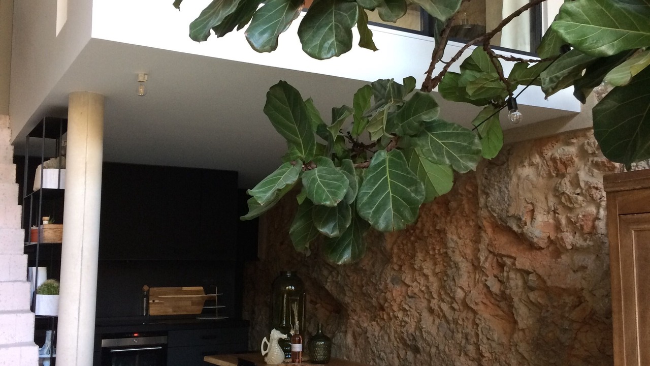 Photo of Others in Fitou