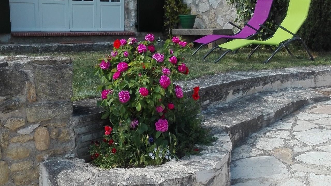 Photo of Outdoor in Lauris