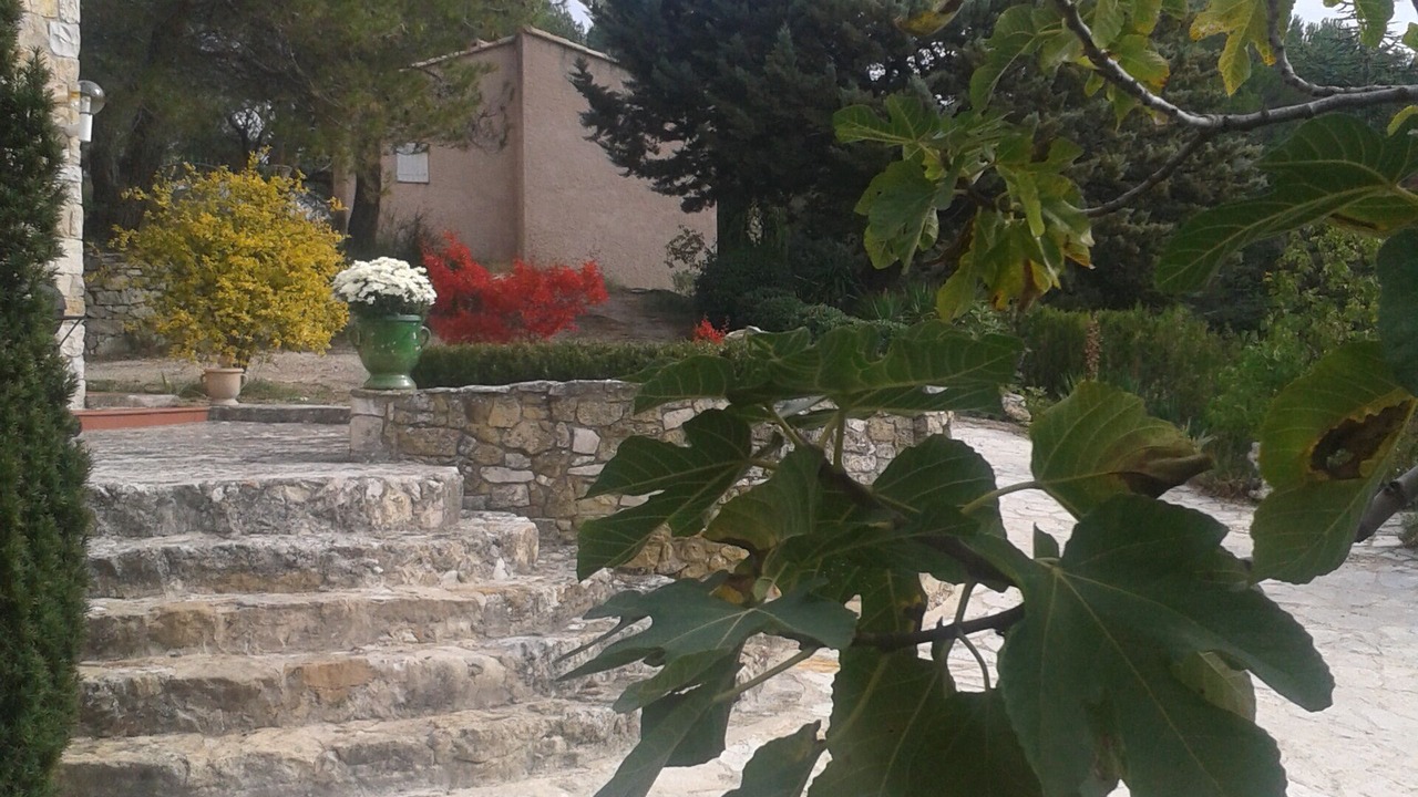 Photo of Outdoor in Lauris