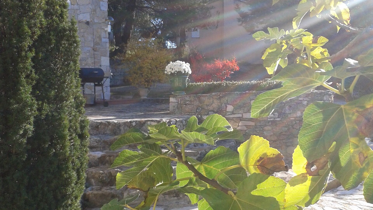 Photo of Outdoor in Lauris