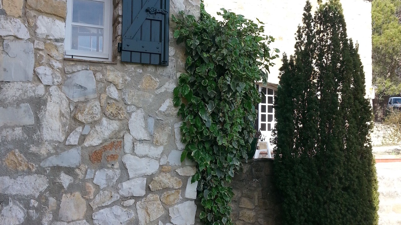 Photo of Outdoor in Lauris